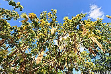 《羊蹄山之魂》媒体评分9月25日晚9点解禁