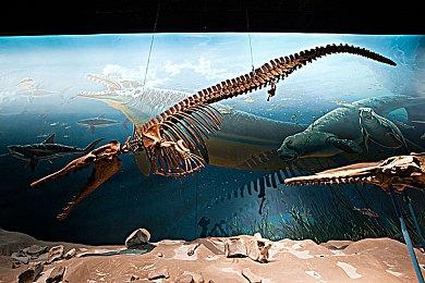 经典回归 《最终幻想战略版》监督暗示重制可能性